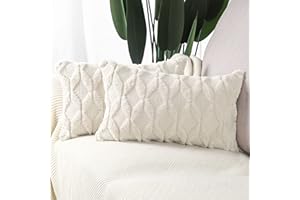 MADIZZ Pack of 2 Soft Plush Short Wool Velvet Decorative Throw Pillow Covers Luxury Style Cushion Case Pillow Shell for Sofa 