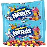 Easter Big Chewy Jelly Beans, Assorted Fruit Flavored Candy, Festive Egg Fillers or Party Favors, 13 Ounces (Pack of 2)