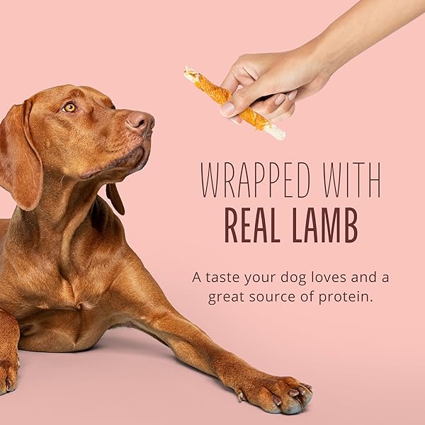 BETTER BELLY PROTEINS WITH REAL LAMB TWISTS, DIGESTIBLE RAWHIDE FOR DOGS, 25 COUNT