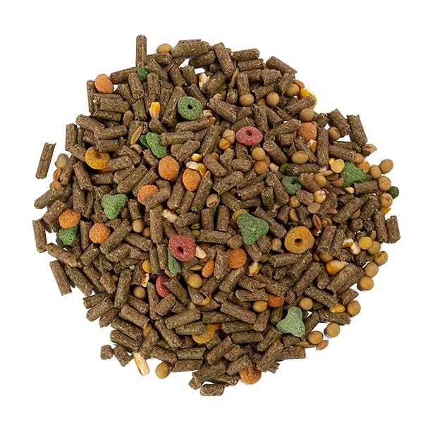 WILD HARVEST ADVANCED NUTRITION GUINEA PIG, 4 POUNDS, COMPLETE AND BALANCED DIET