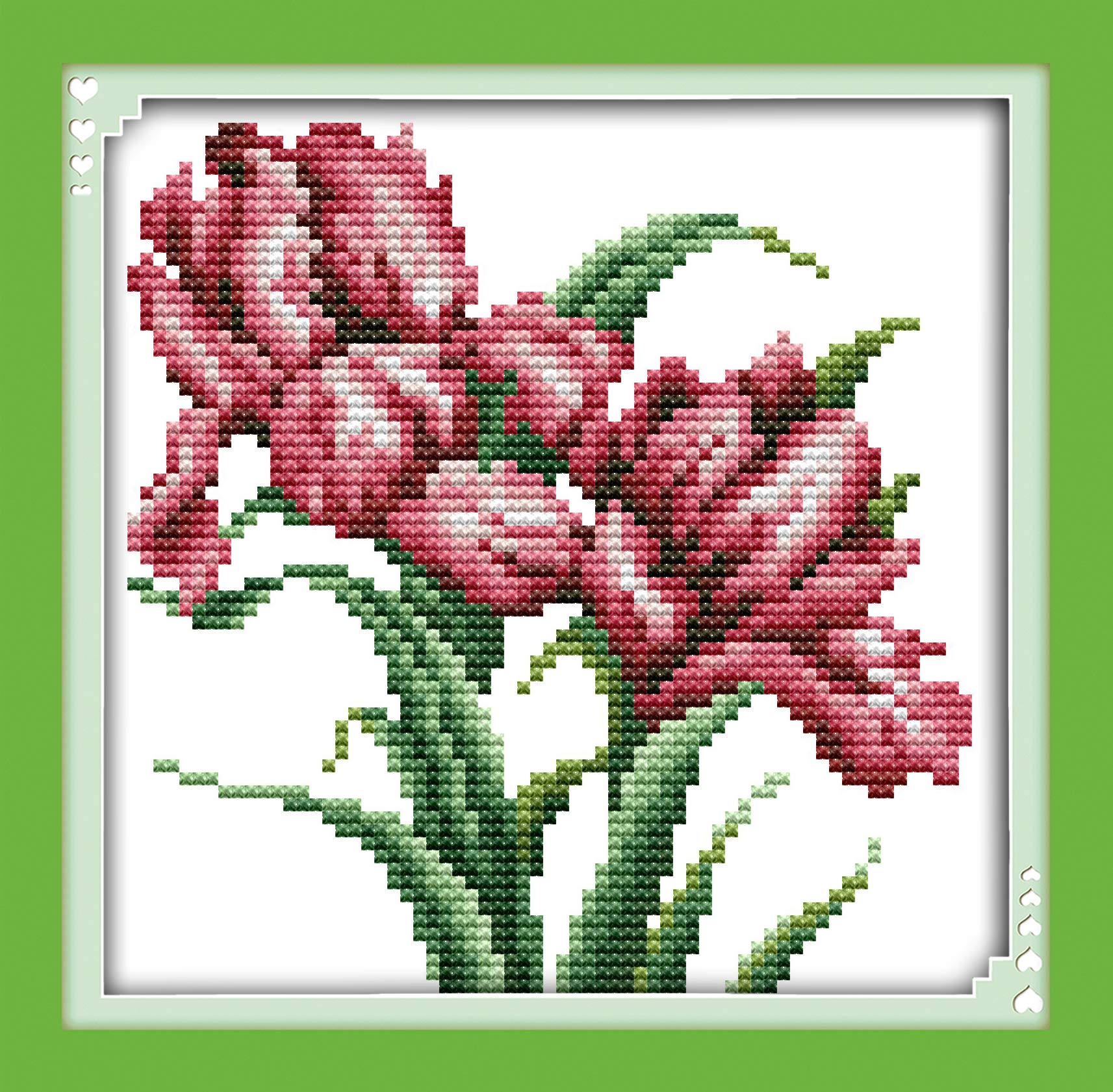 OWN4B Cross Stitch Kits Stamped, Orchids Flowers Printed Pattern 11CT 8.7x8.7 inch DIY Embroidery Kit