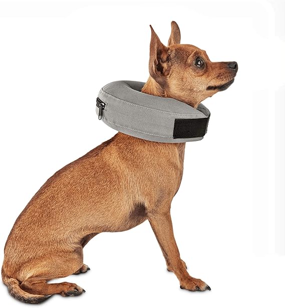 well and good inflatable dog collar