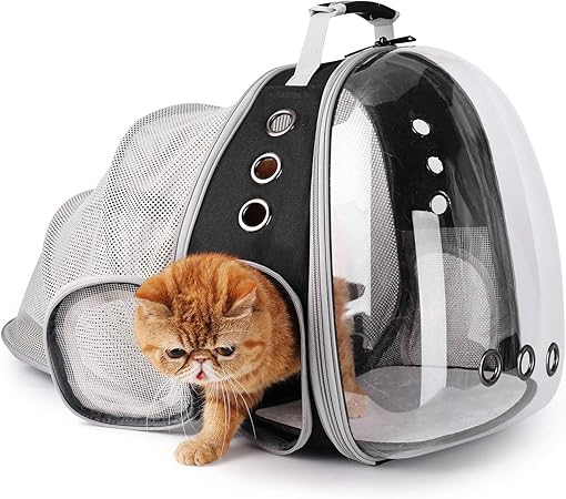 cat bubble backpack amazon