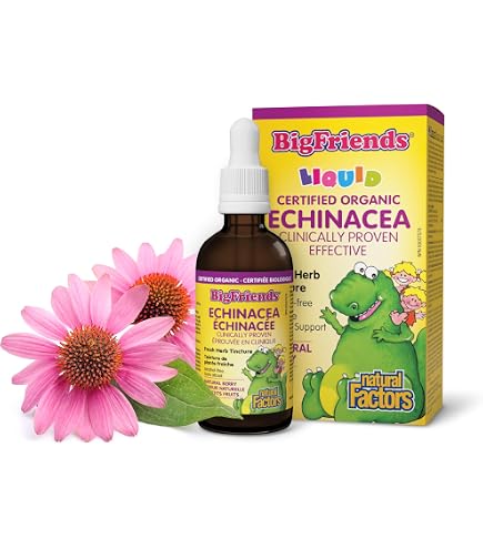 Échinacée Pour Enfants ChildLife - Gouttes 30 Ml, Neuf, Soutien Immunitaire