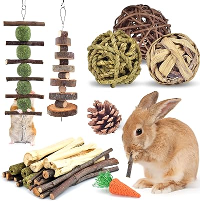 ERKOON Rabbit Chew Toys 10 Types Natural Small Animal Treats Enrichment
