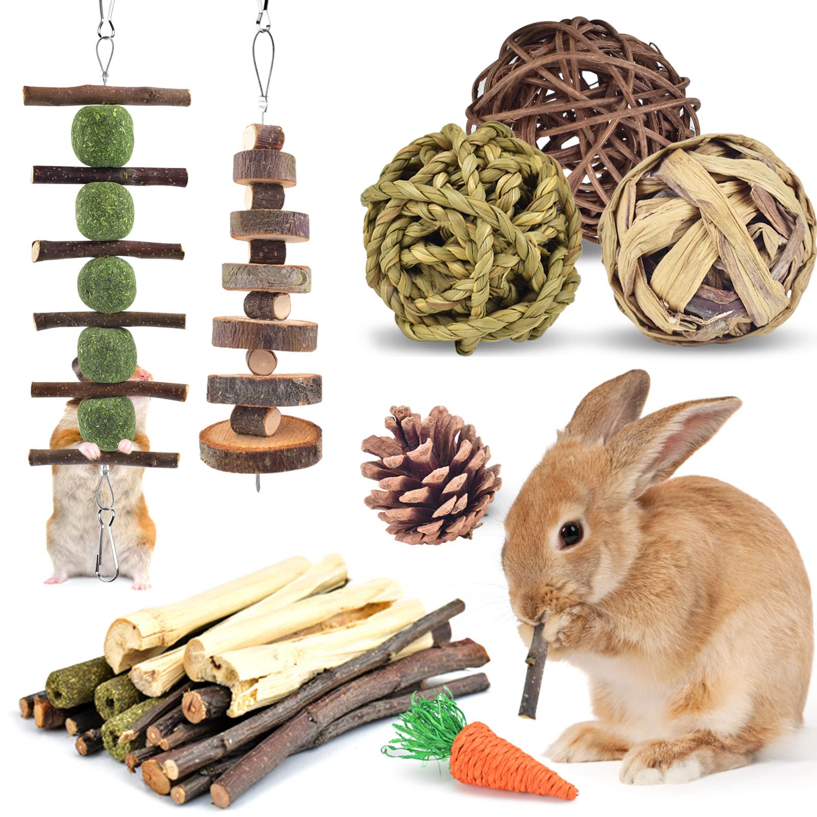ERKOON Rabbit Chew Toys, 10 Types Natural Small Animal Treats for Bunny, Guinea Pigs, Hamsters, Chinchillas & Gerbils - Apple Wood Chews Sticks Enrichment Balls for Teeth Grinding & Boredom Relief