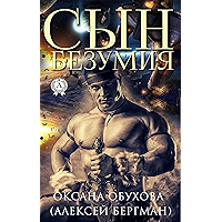 Сын безумия (Russian Edition) book cover