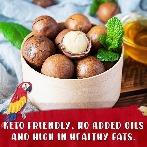 CURIOUS BIRD MACADAMIA NUTS – DRY ROASTED WITH SEA SALT | BITE SIZED HEALTHY SNACK | 8OZ RESEALABLE BAG (PACK OF 1)