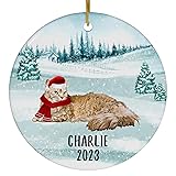 Santa Hat and Scarf Welcome Winter Red LaPerm Cat