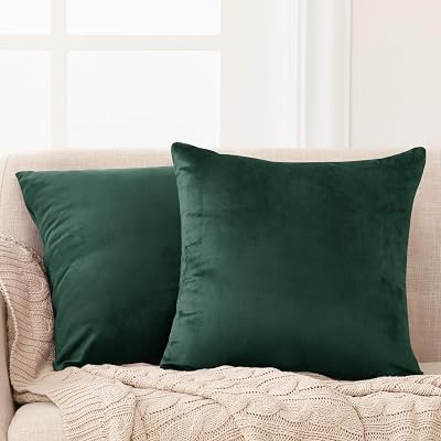 Deconovo Velvet Cushion Covers Set of 2 Emerald 30x50 cm 12x20 in