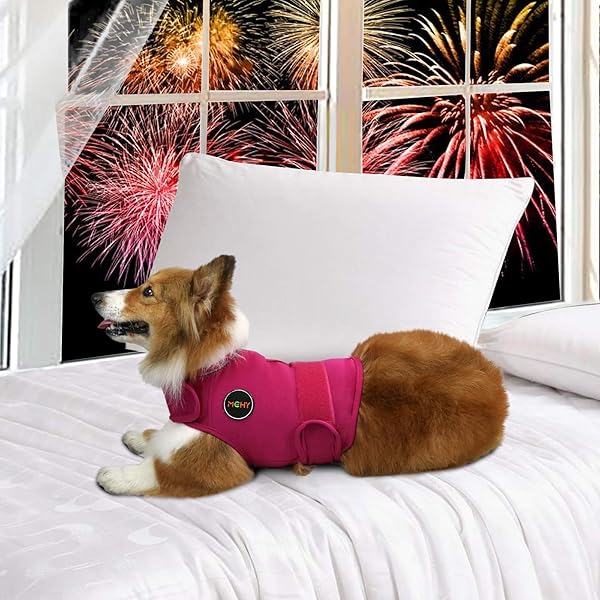 MCHY DOG ANXIETY VEST, ANXIETY RELIEF FOR DOGS, DOG CALMING COAT (ROSE M)