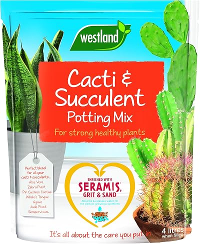 Westland Cacti Succulent Potting Mix with Seramis 4 L Brown 60x3x29 cm