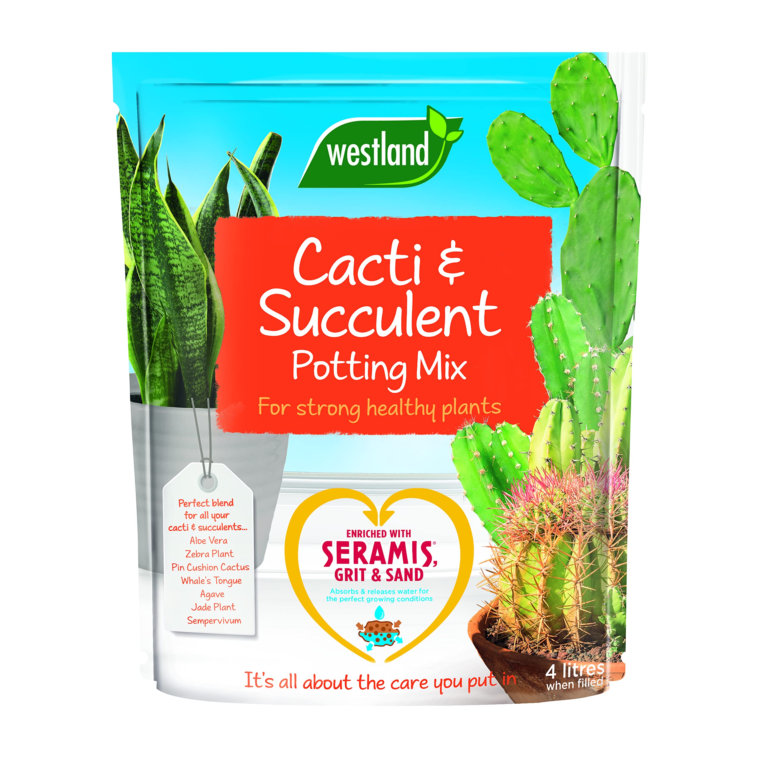 Westland Cacti/Succulent Potting Compost Mix and Enriched with Seramis, 4 L Brown 60x3x29 cm