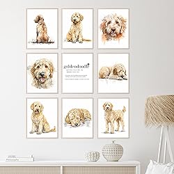 BigWig Prints Golden Doodle Wall Decor