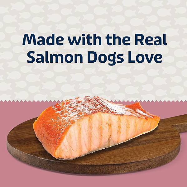 BLUE BUFFALO BLUE BITS PLUS SKIN & COAT AND IMMUNE SUPPORT DAILY BENEFIT DOG TREATS, SOFT & CHEWY SALMON MORSELS, 9.5-OZ. BAG