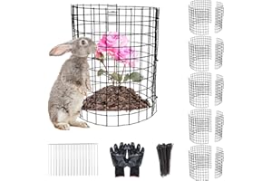 LAPEQQIOJEJ 5 Pack Wire Plant Protector from Animals, 12x12 Inches Plant Cages to Keep Animals/Rabbits/Chicken/Cat/Squirrels/Mouse Out