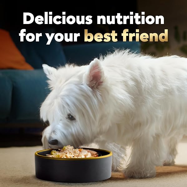 CESAR WHOLESOME BOWLS ADULT WET DOG FOOD, CHICKEN RECIPE AND CHICKEN, SWEET POTATOES & GREEN BEANS RECIPE VARIETY PACK, WET FOOD FOR DOGS, 3 OZ. BOWLS, 6 COUNT