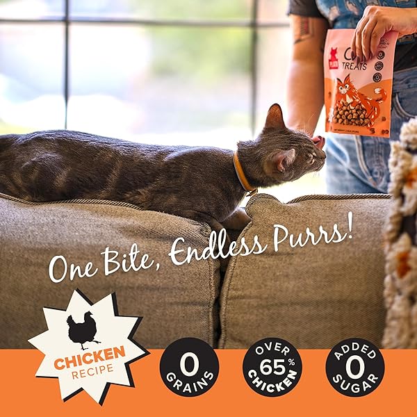 PLATO PET TREATS CAT TREATS – SINGLE INGREDIENT, HEALTHY CHICKEN TREATS FOR INDOOR CATS – AIR DRIED – 2.5 OZ
