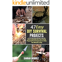 47 Easy DIY Survival Projects: How to Quickly Get Your Family Prepared for Emergencies in Only Ten Minutes a Day book cover