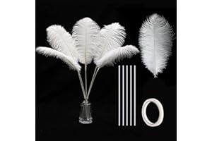 Holmgren White Ostrich Feathers Bulk - 20pcs Making Kit 22 Inch Large Ostrich Feathers for Vase, Floral Arrangement, Wedding Party Centerpieces and Christmas Home Decorations (White)