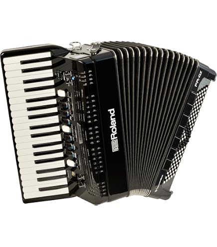 Amazon.com: Roland FR-1X Premium V-Accordion Lite with 26 Piano