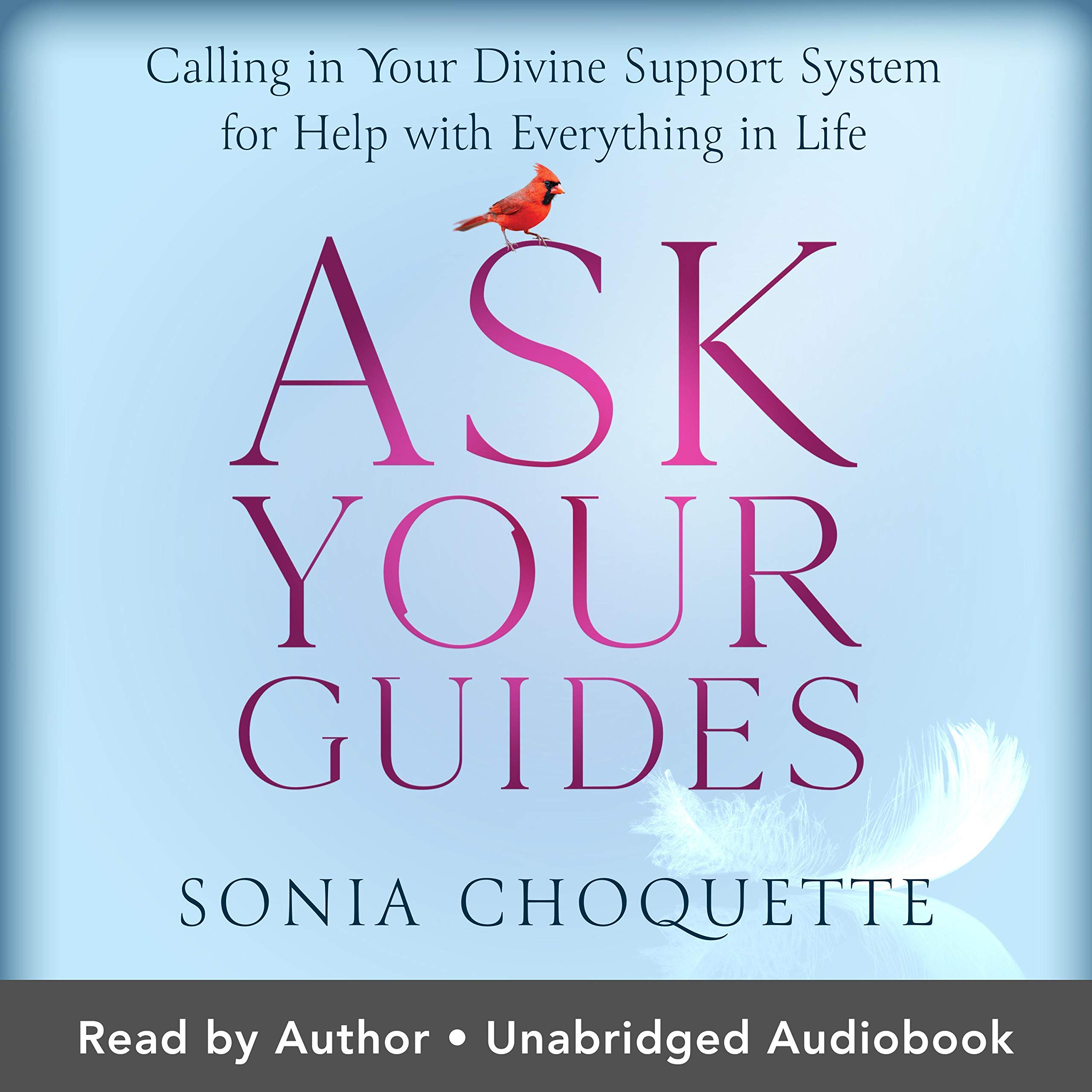 Ask Your Guides: Calling in Your Divine Support