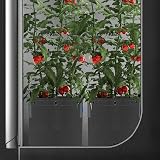 AC Infinity 20L Heavy Duty Fabric Pots 5-Pack for Plant Growth view 7