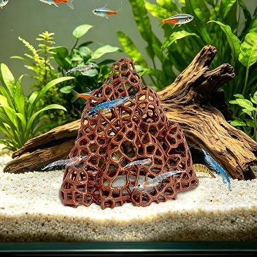 New Releases: The best-selling new & future releases in Aquarium Décor Thematic Ornaments