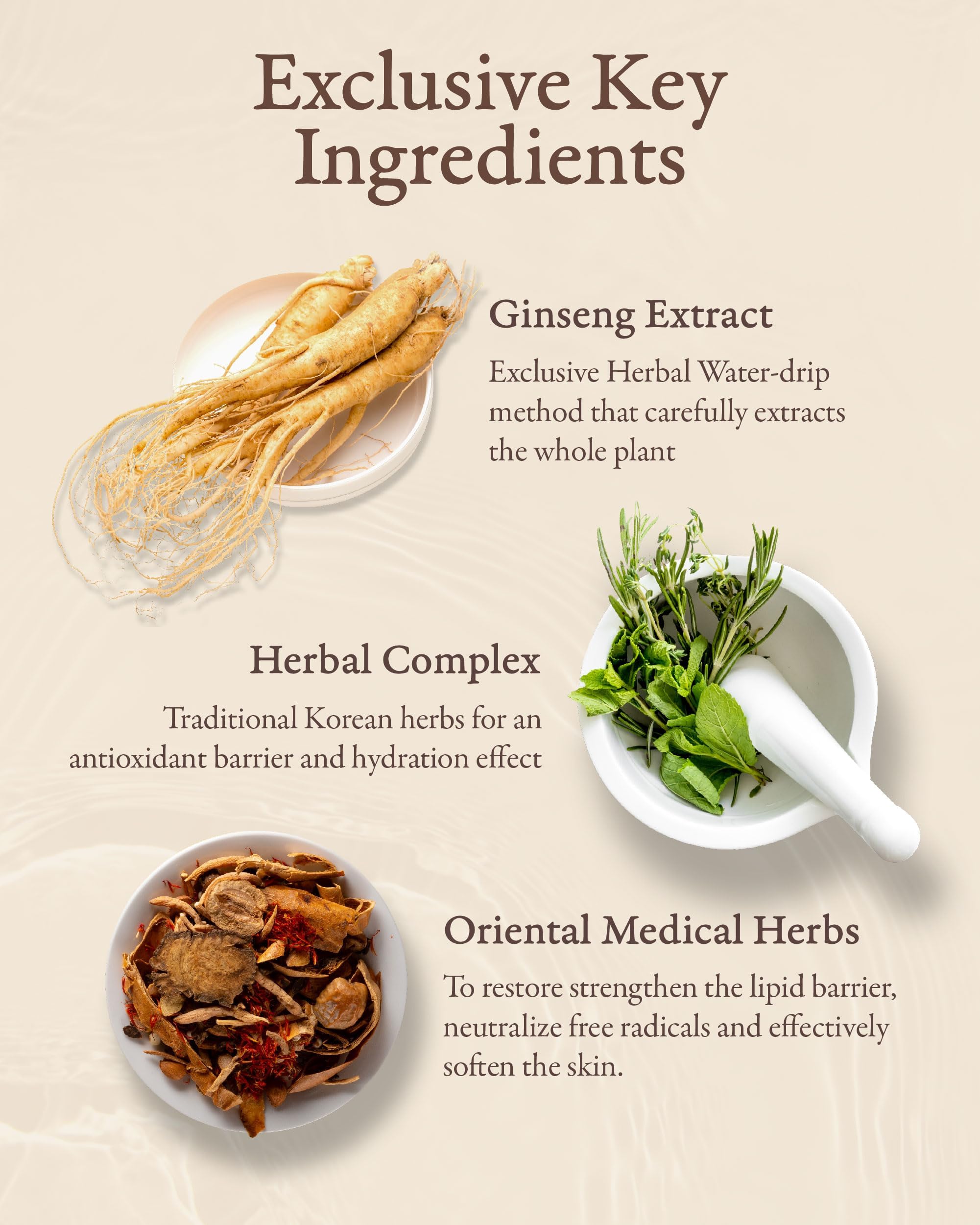 Sooryehan Bon Extra Moisture Korean Skin Care Gift Set (13.01 Fl Oz) - Luxury Premium High-end by LG Beauty. Hydrating Toner, Emulsion Lotion, Cleansing Foam, Eye Cream.