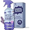 Sunny & Honey Pet Stain & Odor Remover Parent (32 Fl Oz (Pack of 1), Light Lavender Scent)