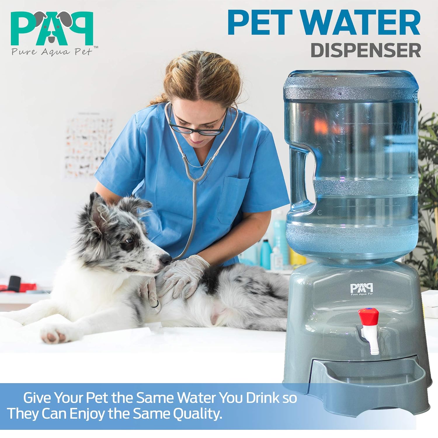 5 gallon dog water dispenser
