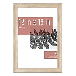 MCS Studio Gallery Classic 12x18 Picture Frame