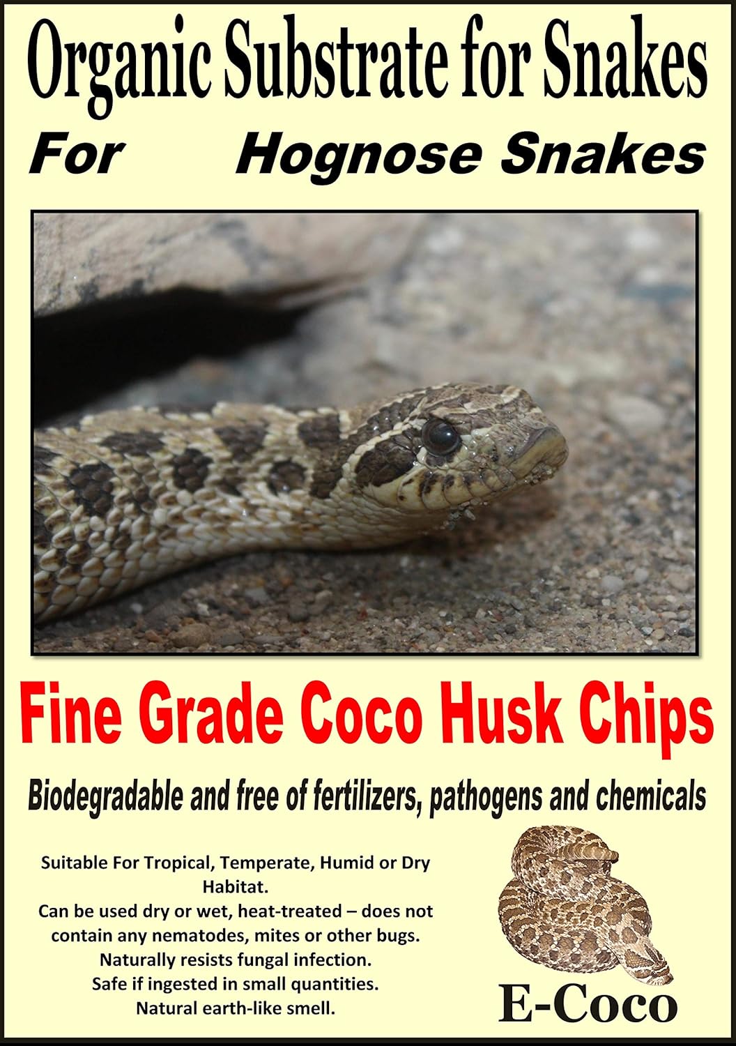 hognose snake bedding