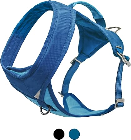sport dog shock collar
