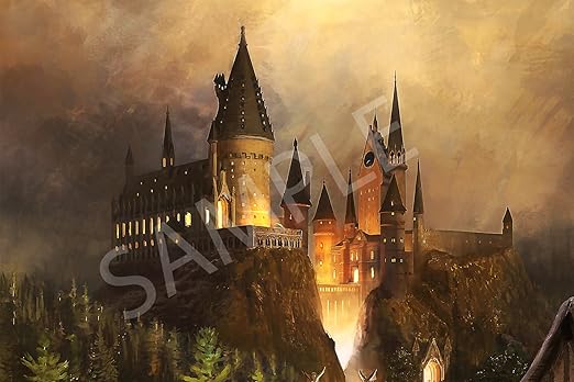 amazon castillo harry potter