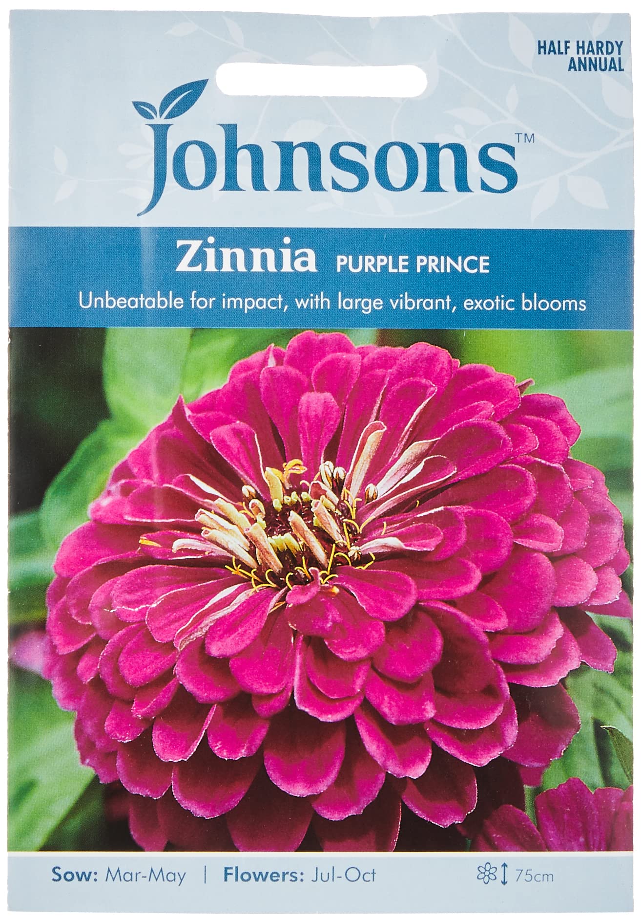 Johnsons 23905 Flower Seeds, Zinnia Purple Prince