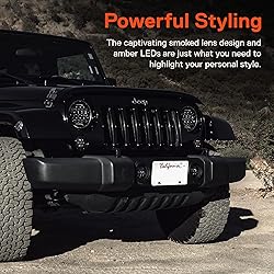 TRUE MODS LED Turn Signal & Side Marker Light