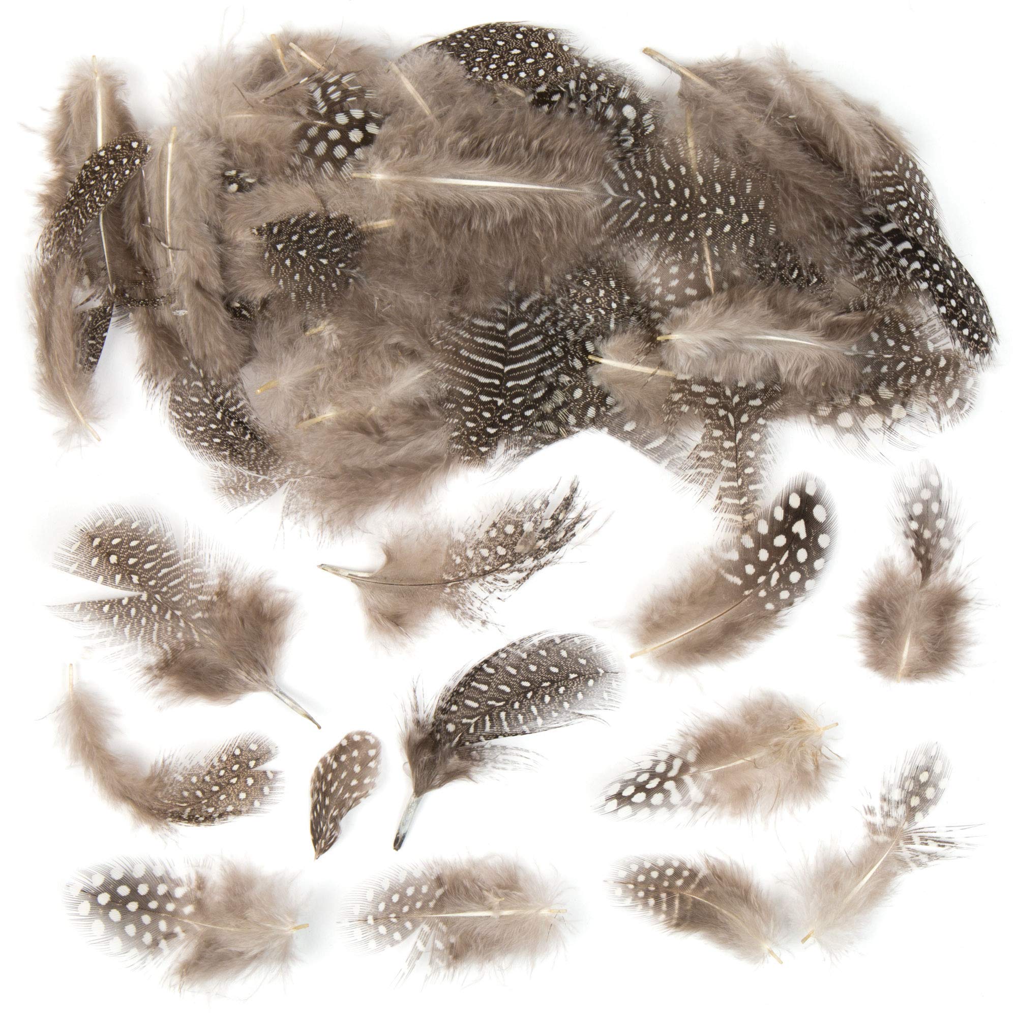 Baker Ross AC676 Natural Feathers - Pack of 80, For Kids' Creative Art and Craft Supplies & Decorations