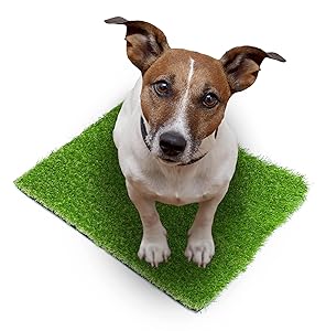 SavvyGrow Artificial Grass for Dogs Pee Pads - Premium 4 Tone Puppy Potty Training, Easy to Clean with Drain Holes - Fake Astro Turf Dog Mat Pad – Non Toxic for Pet (Many Sizes)(2.3 ft x 3.3 ft)