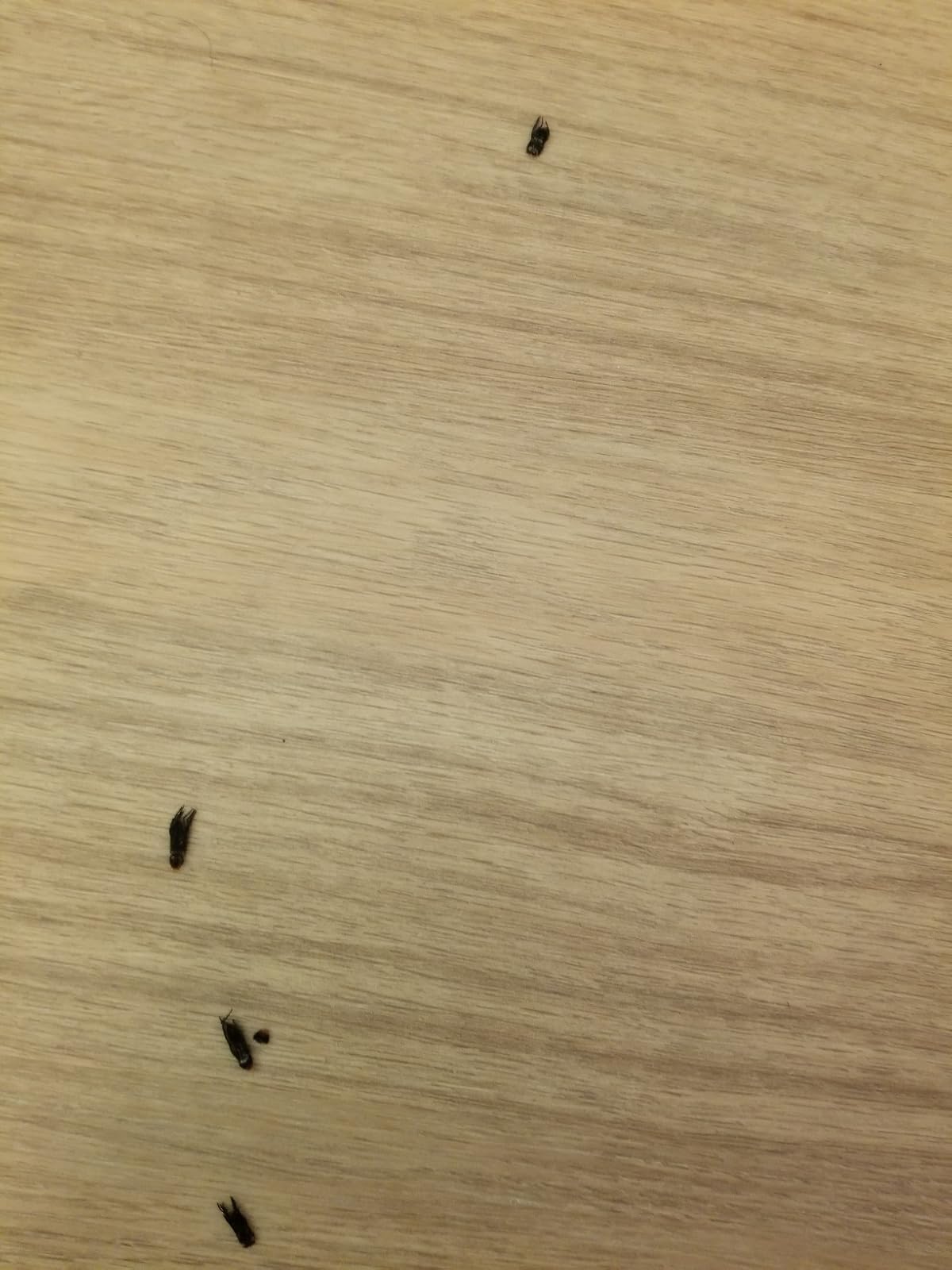 User review photo