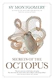 Secrets of the Octopus