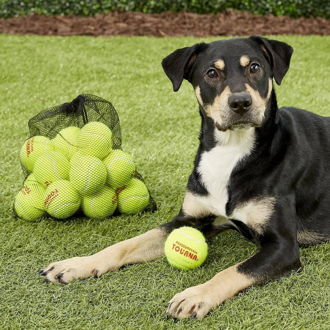 Tourna Mesh Carry Bag of 18 Tennis Balls