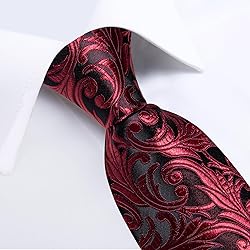 DiBanGu Silk Paisley Ties for Men Woven Necktie and