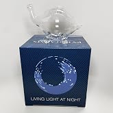 Bioluminescent Bio-Turtle Gift Option, Glass Turtle Micro-Aquarium, Redeemable PyroDino Card for Live PyroDinos and DinoNutrients