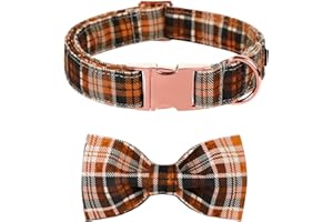 Lionet Paws Halloween Dog Collar with Bowtie - Cute Cotton Adjustable Fall Bowtie Dog Collar with Metal Buckle for Small Medium Large Dog Girl Boy Gift, S, Neck 10-16in