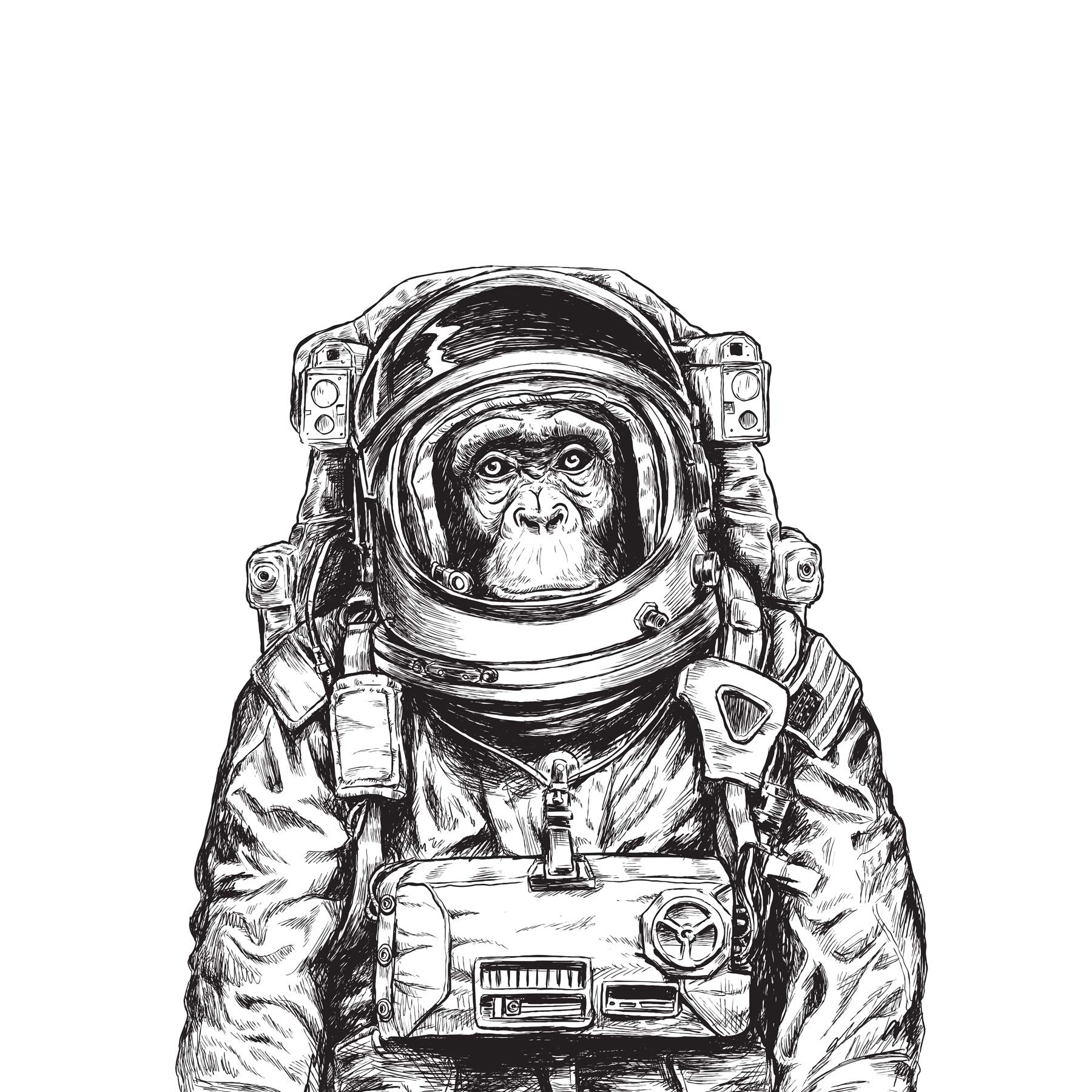 Wee Blue Coo Chimpanzee Astronaut Space Animal Large Wall Art Print Canvas Premium Poster