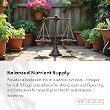 GreenBrokers C1001 Organic All Purpose Potting Compost 10L Peat Free view 6