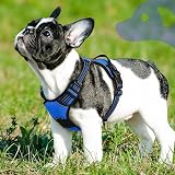 Eagloo Dog Harness Small Adjustable No Pull Reflective Blue S view 9