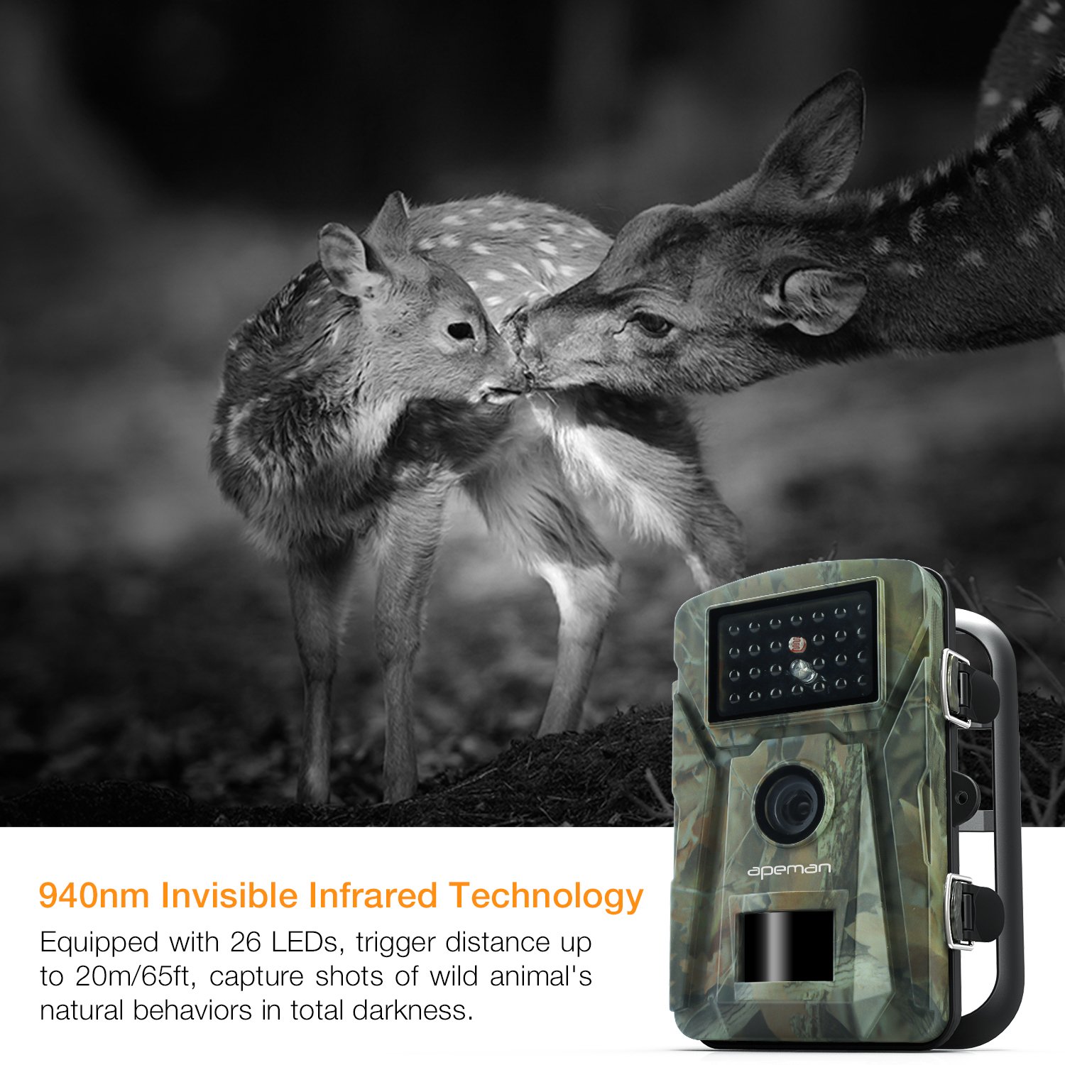 Garden Wildlife Camera Full HD Digital Surveillance Night Vision