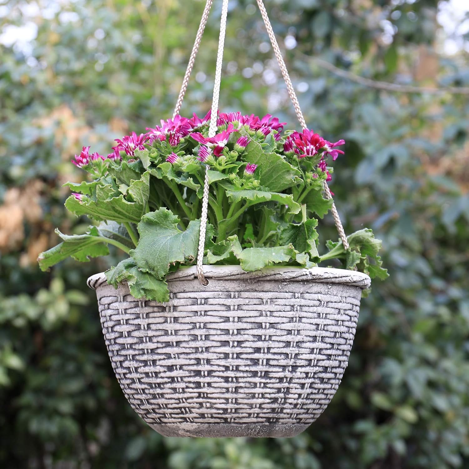 LA JOLIE MUSE Hanging Planters Indoor, 9.8 Inch Hanging Pots for Plants Indoor, Stone Color, Weave Pattern, Set of 2: Garden & Outdoor